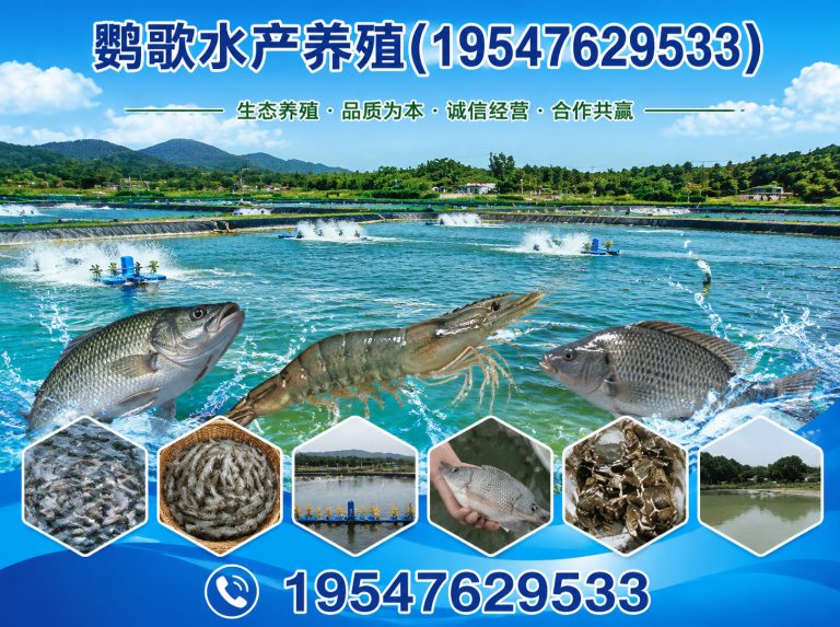 郫都区鹦歌水产养殖展示图
